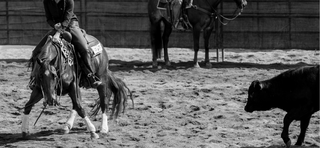 AdobeStock_Cutting Horse753734150BW